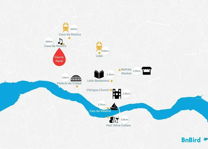 Casa Da Música Modern Flat *